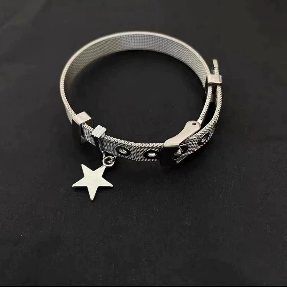 Star Charm Bracelet, Mesh Meta – Mesh Strap Metal recenzja i cena